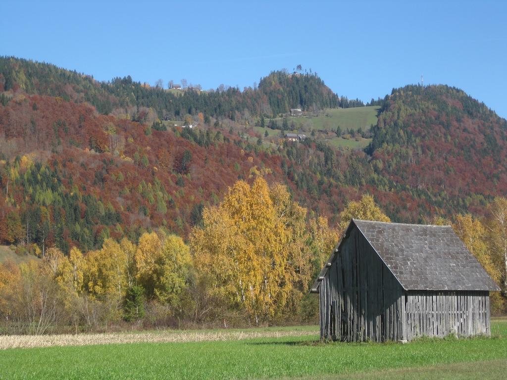 Haus Moser Wörschach Exteriér fotografie